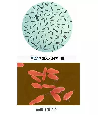 儿童牛奶饮料里含肉毒杆菌?还能引发白血病?别慌,真相在此!
