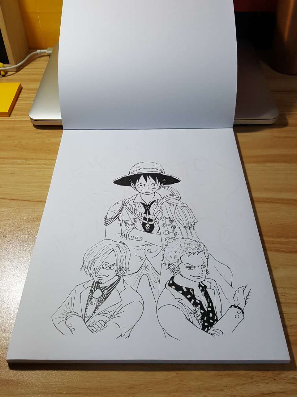 海贼王:一幅画像的诞生,一生的海贼王!网友:这画工无敌!