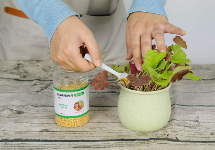 施肥这样做,能让花叶油亮长势还好