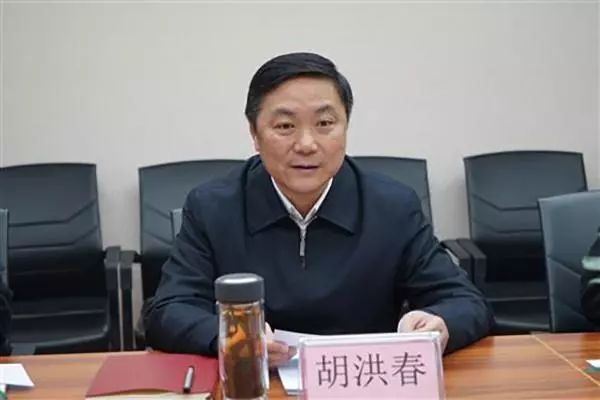 武汉市委原常委胡洪春被"双开"