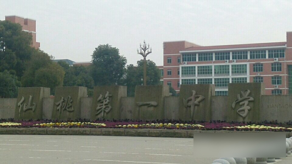 湖北仙桃一中,因网络教学事故,被教育局通报批评,你们怎么看?