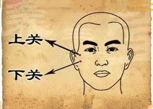 胆经:输送气血的固体大脉