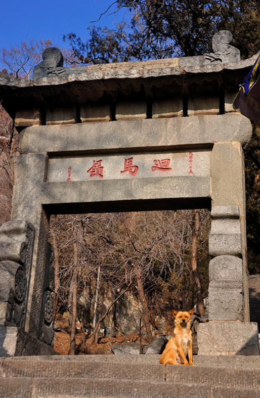 泰山"回马岭"来历不简单,三位皇帝均不得不在此停留