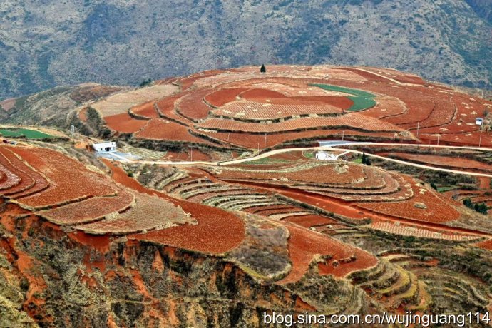 实拍云南东川红土地和放羊的老汉(图)