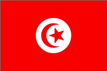 中西文明—中西方古代旗帜对比,哪一款旗帜更能体现强国气势!