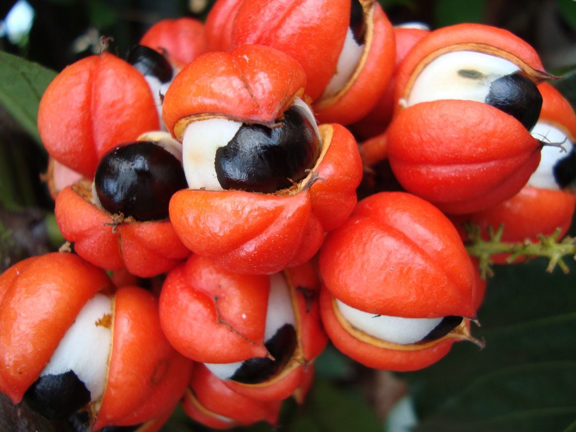 巴西最具特色的菜品,被人们视为"国菜",值得一尝!