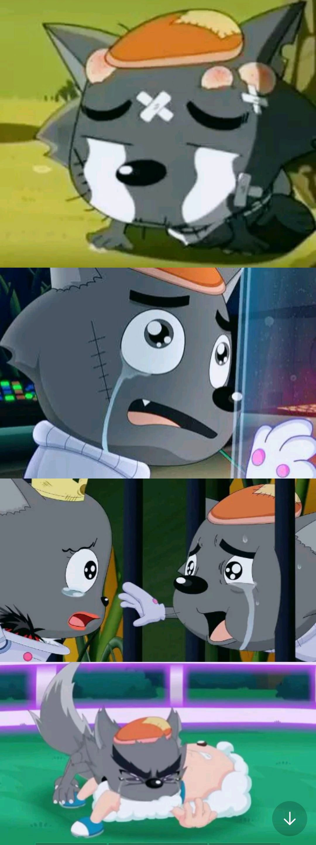 灰太狼被红太狼打了一辈子,也没有想过要离开,原来是这种原因?