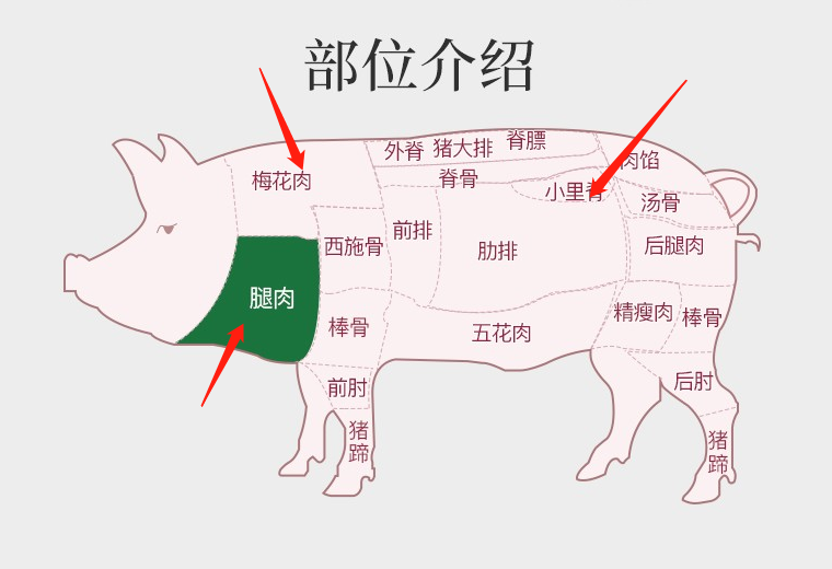 猪肉- 热门商品专区