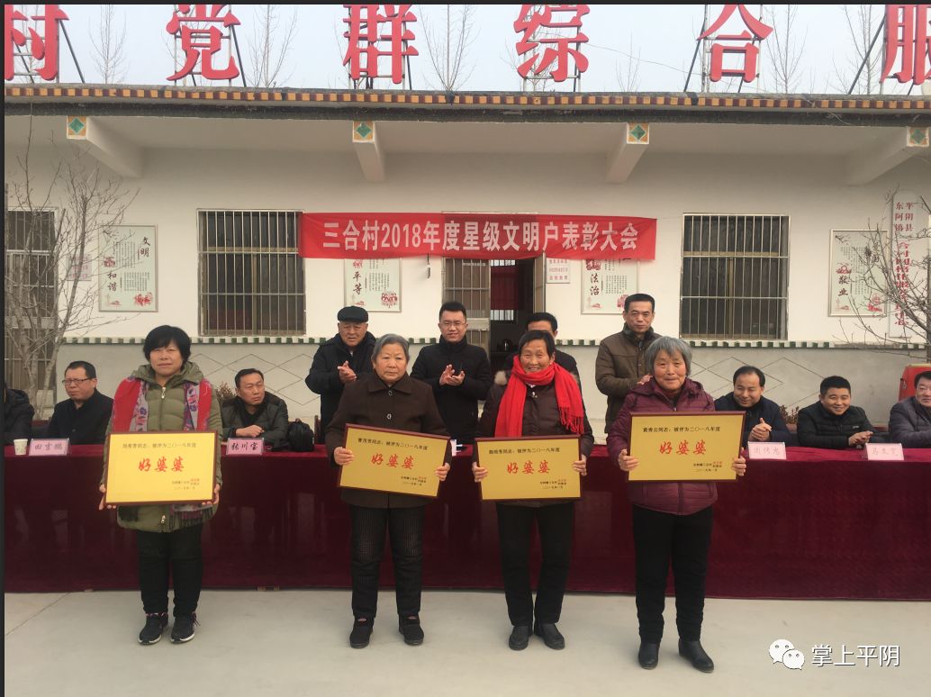 好样的:平阴东阿镇三合村星级文明户表彰!