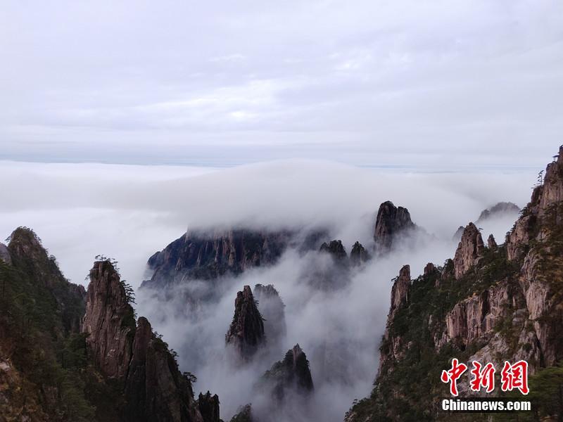 雨中云雾缭绕的黄山图片