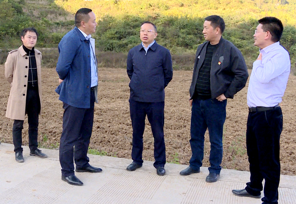 潘发勇到以那镇督导坝区农业产业结构调整推进工作