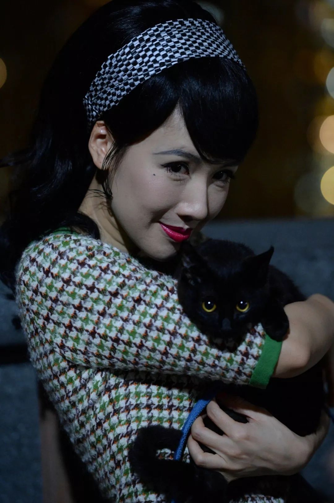 《金宵大厦》黑猫"靓宝"出生名种却无人领养 演技好成为明星猫
