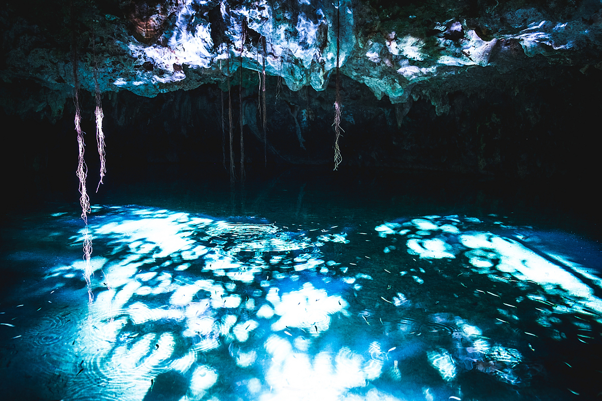 萤火虫水洞旅游区是您的不二选择!