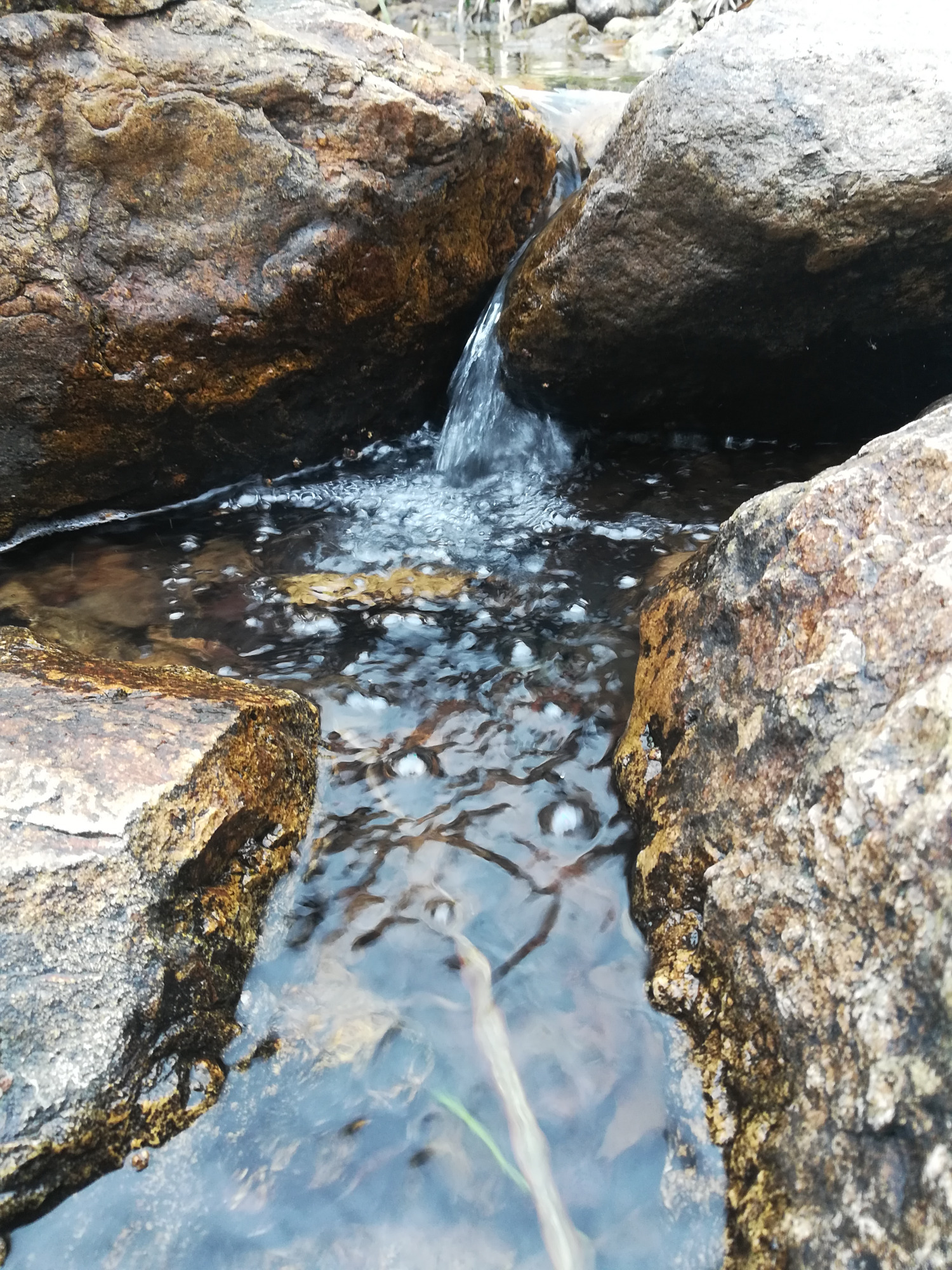 泉水,大自然的灵动