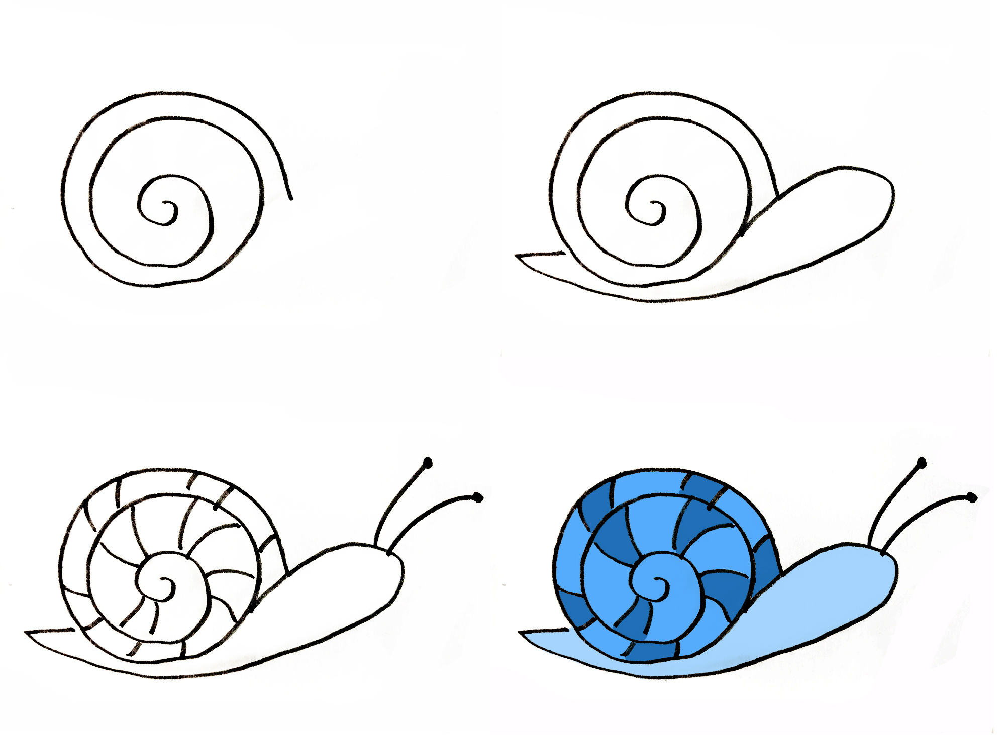 蜗牛最简单的画法图片