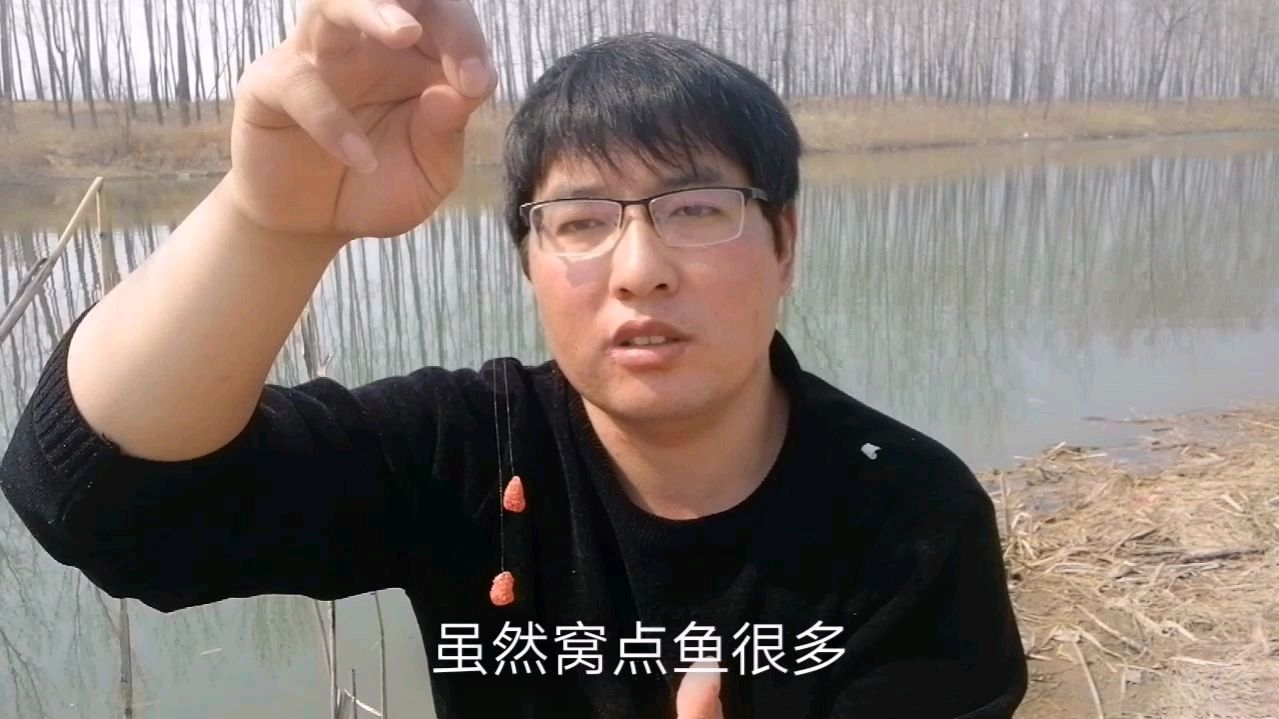 钓底鱼没口,千万别死守,学会这样做,才是明智之举!