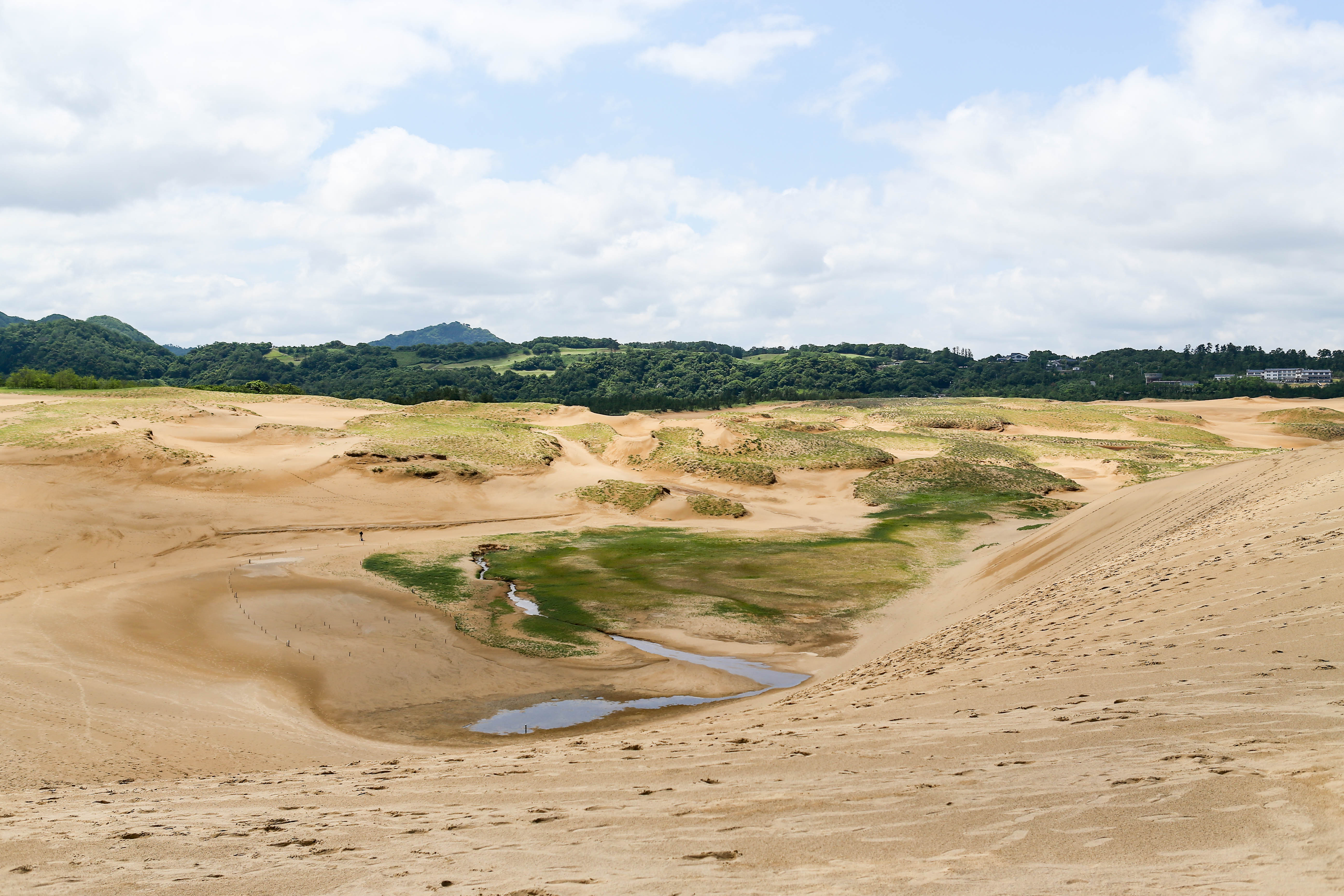 鸟取治沙:最后的一平方公里沙丘(2)