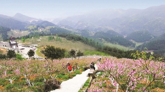 渠县賨花寨景区图片图片