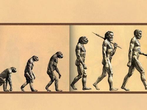 人类真的是由猿演化的吗?为什么现在的猿没有演化成人?