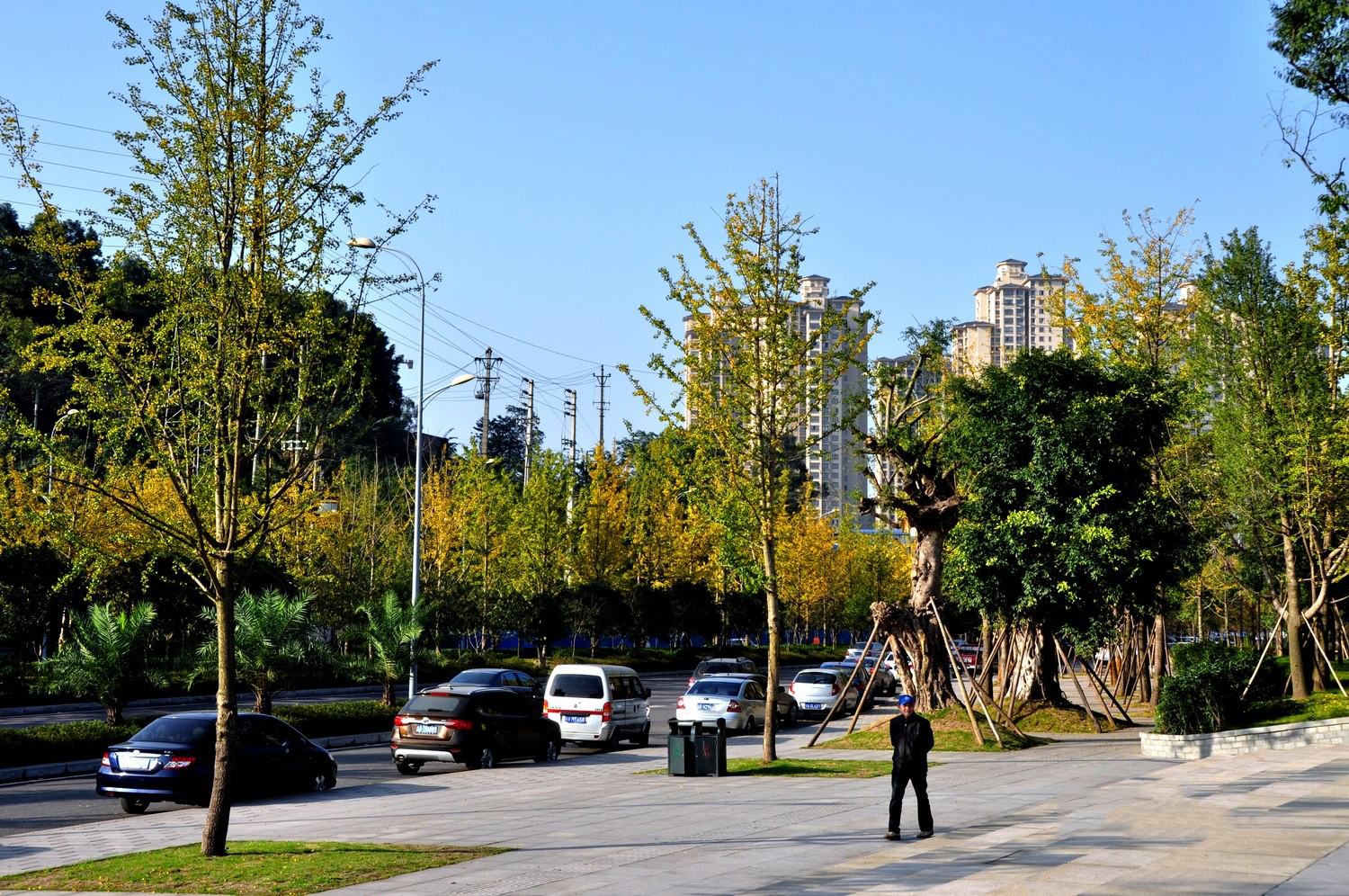 重庆江北区石子山体育公园