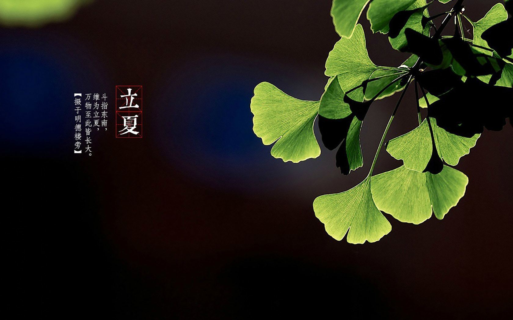 今日立夏:不只是节气,还是杭州人的立夏节,已入选国家非遗