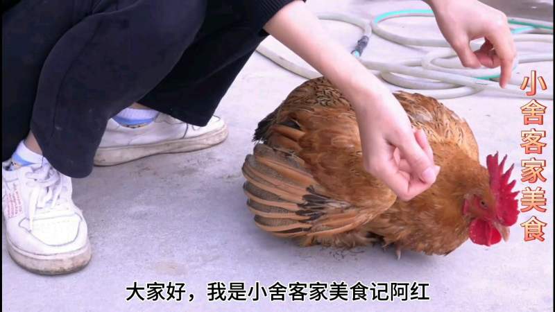 客家妹子教大家如何杀鸡，手法娴熟干脆利落，做出鸡肉也美味,美食,美味食谱,好看视频