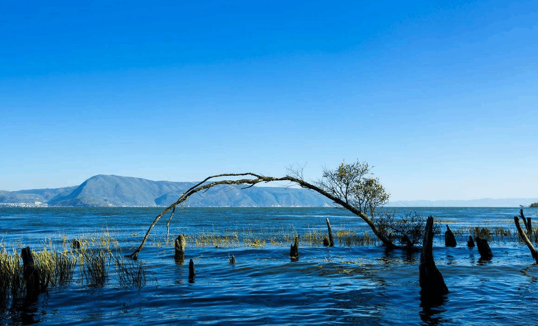 下关,中国古关隘,位于今云南省大理白族自治州大理市下关西北,据点