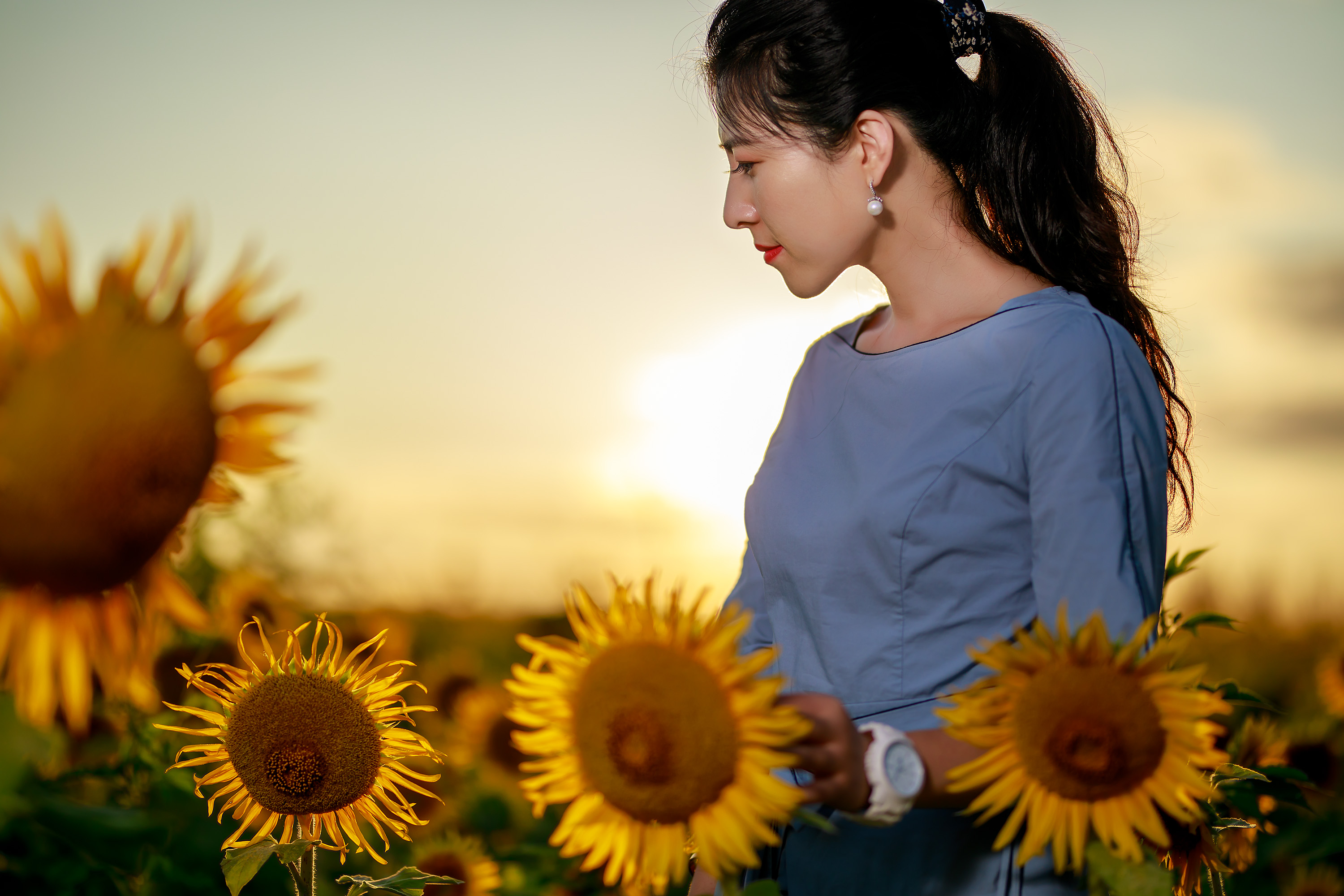 向日葵下的姑娘