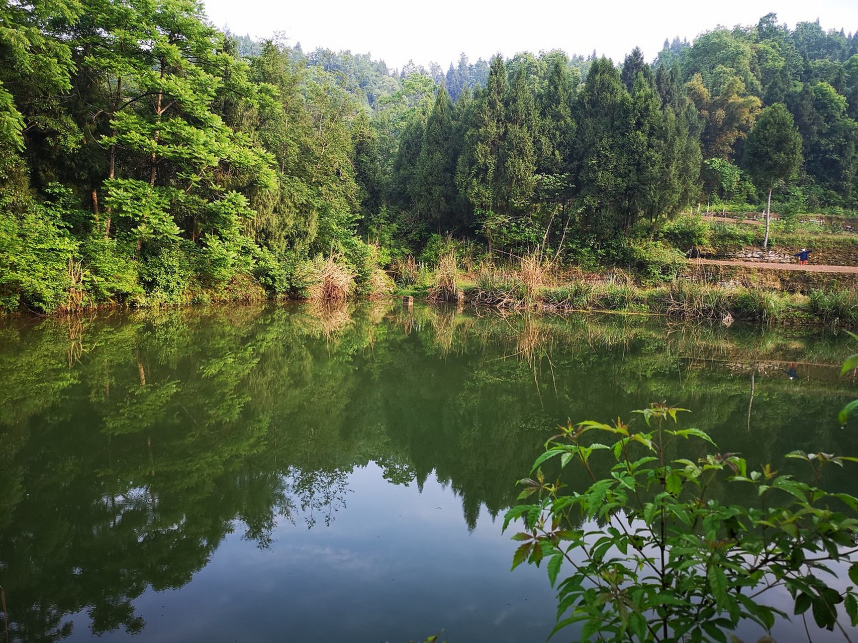 琳琅山位于四川省仪陇县马鞍镇琳琅山风景区,为国家5a级景区,琳琅山