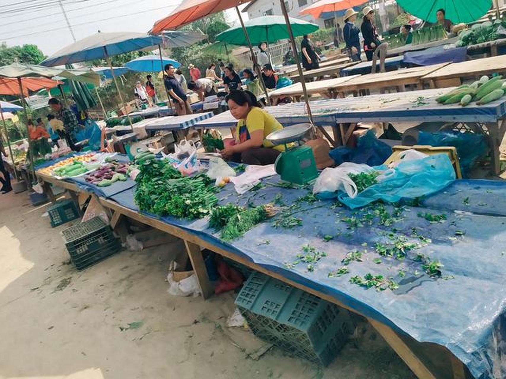 老挝万荣当地农村的菜市场,有种80年代中国农村的样子,刚进来就看到