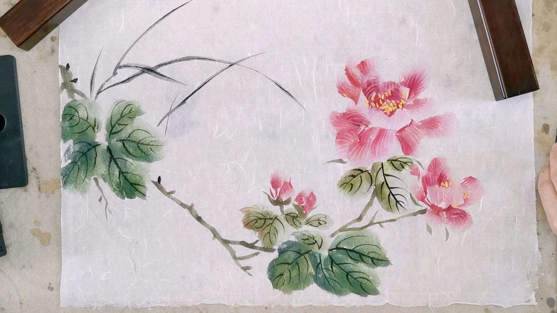 国画教程——写意芙蓉花的画法