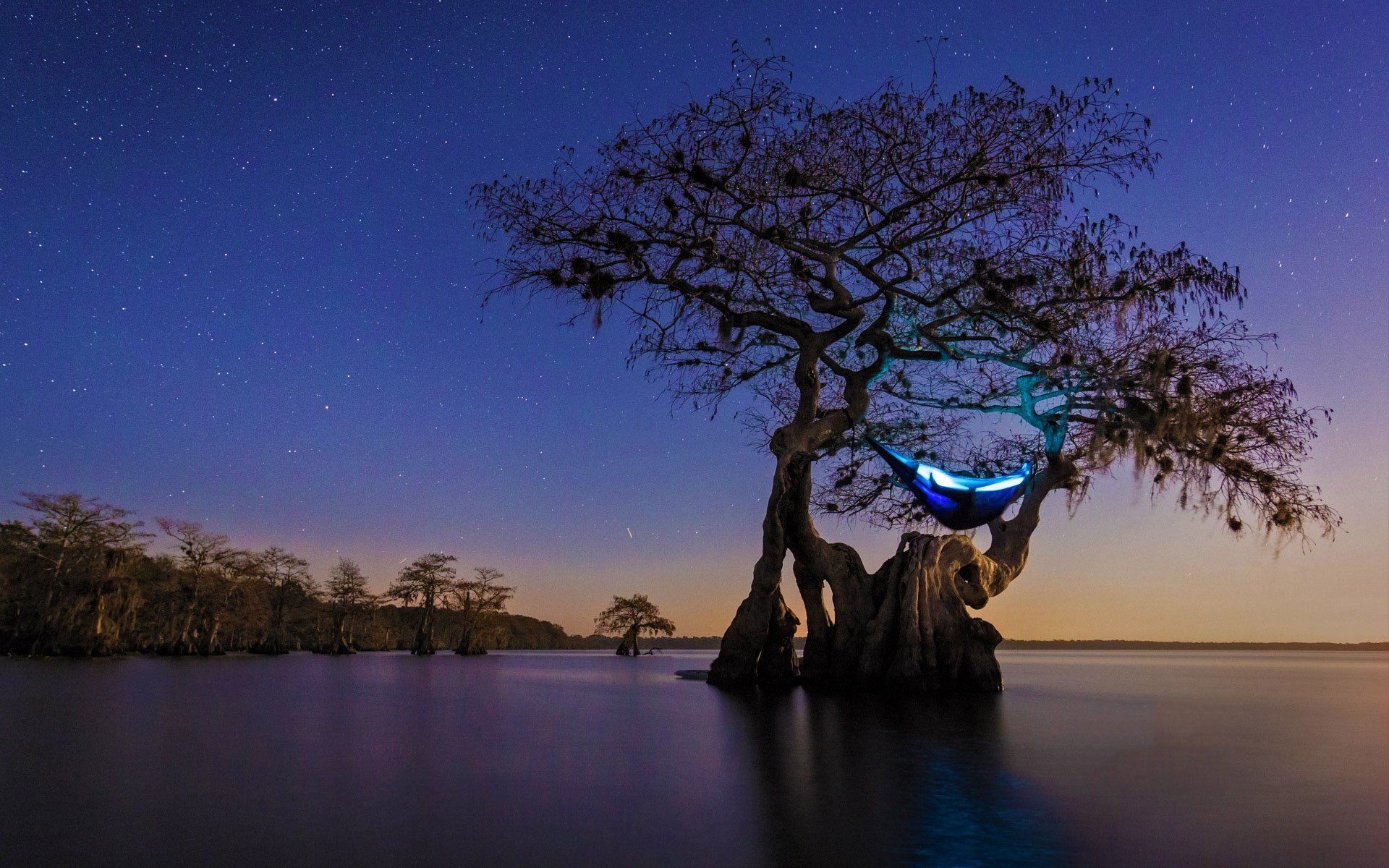 夜景主题桌面壁纸