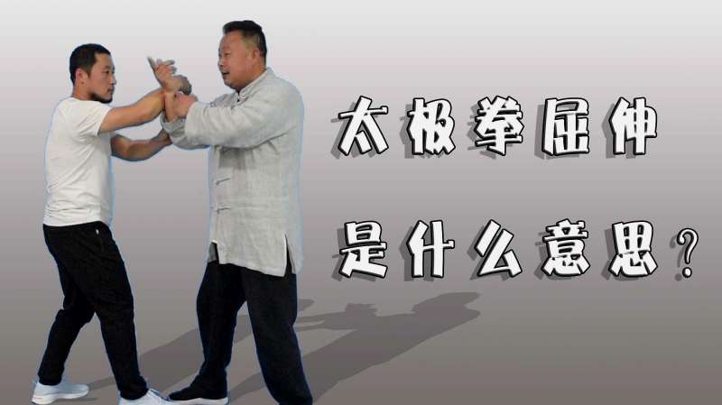 太极拳屈伸终解!武术开合之奥妙,庞恒国老师1分钟精讲,体育,武术,好看视频