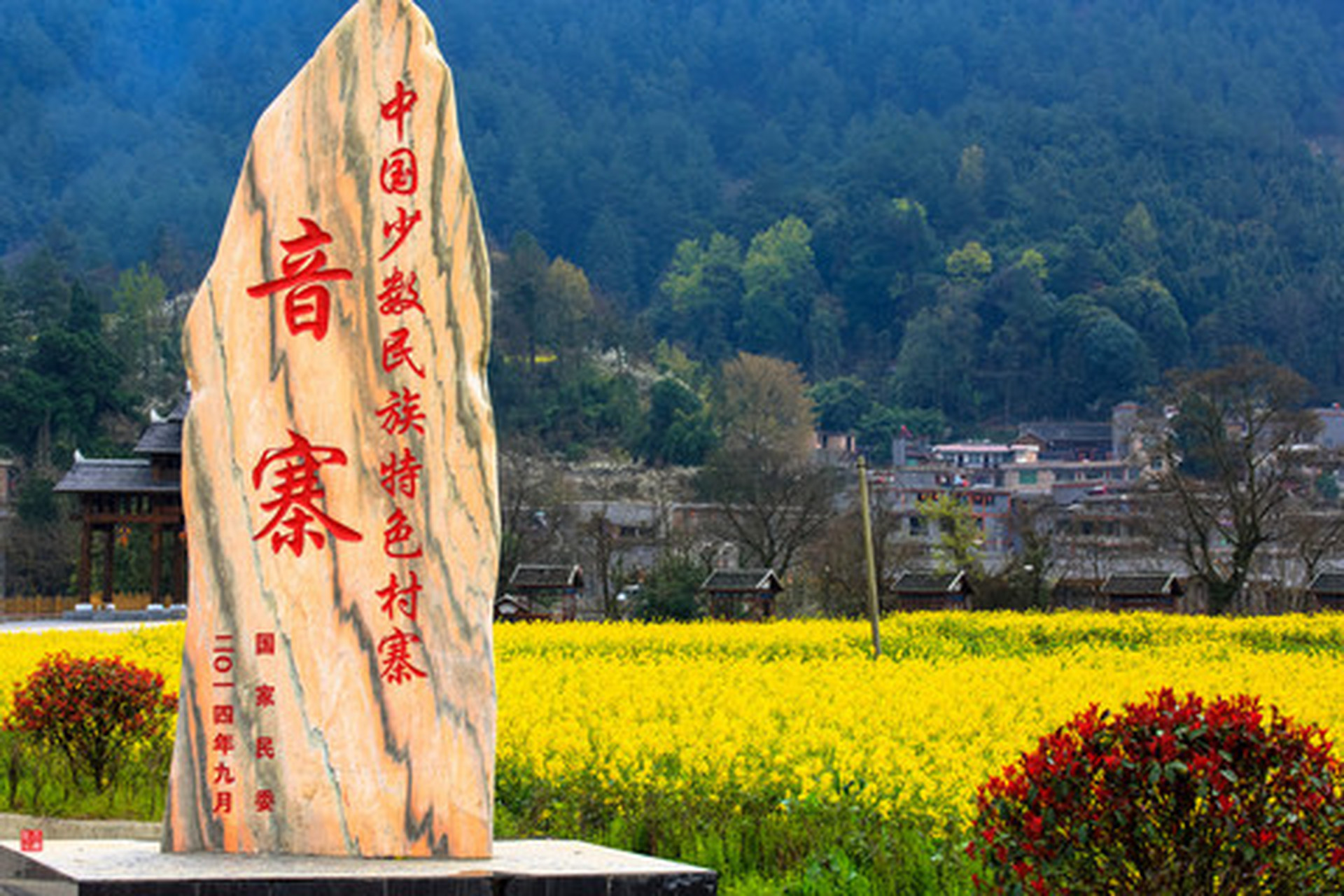 万物皆可云##云游全世界#贵定音寨:贵定音寨平均海拔1000米,音寨村有