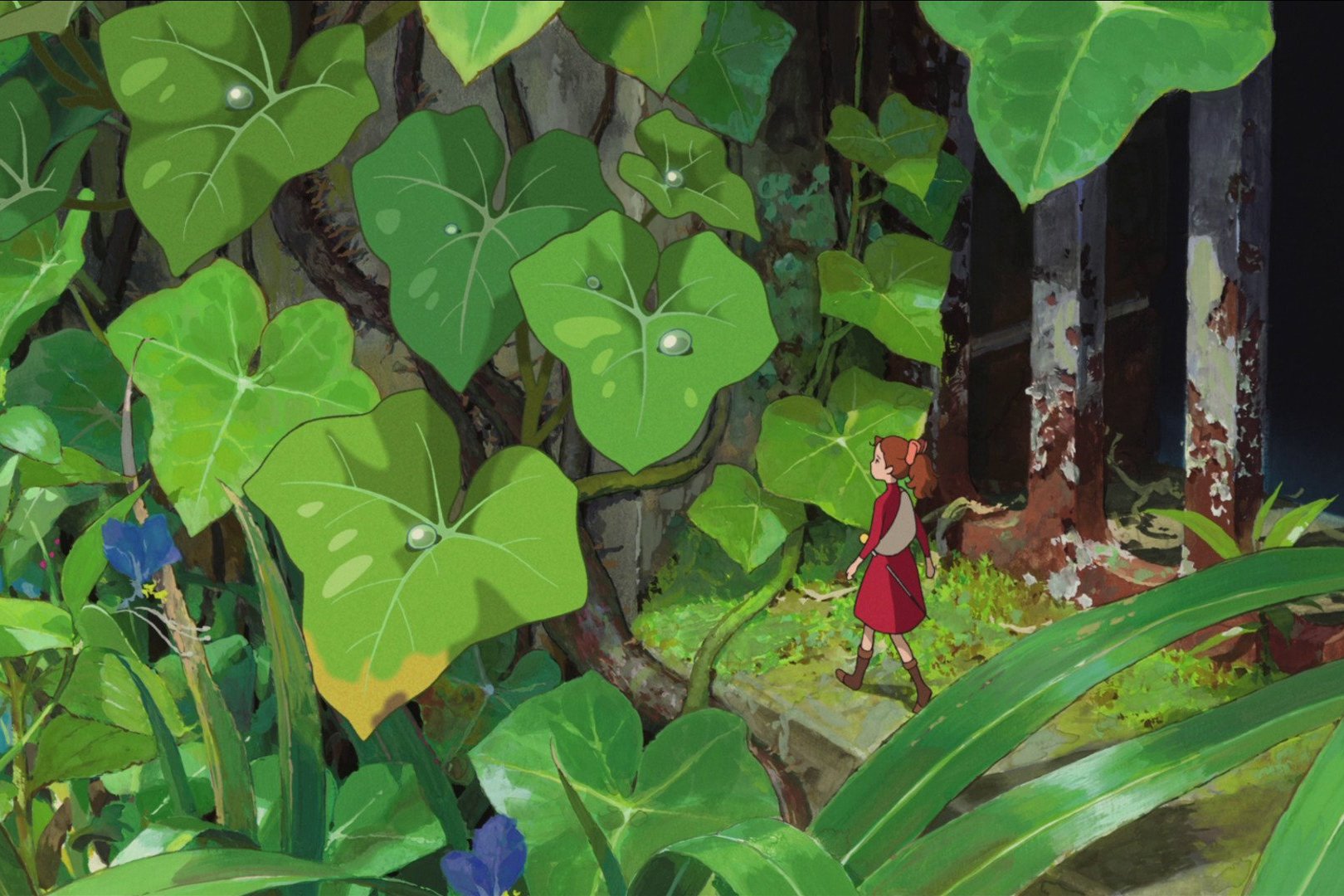 借物少女阿莉埃蒂:阿莉埃蒂对翔有是什么样的情感