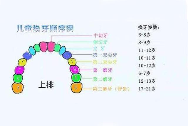 宝宝长牙顺序和时间知道吗?想要长一口整齐好牙齿,这几点要注意