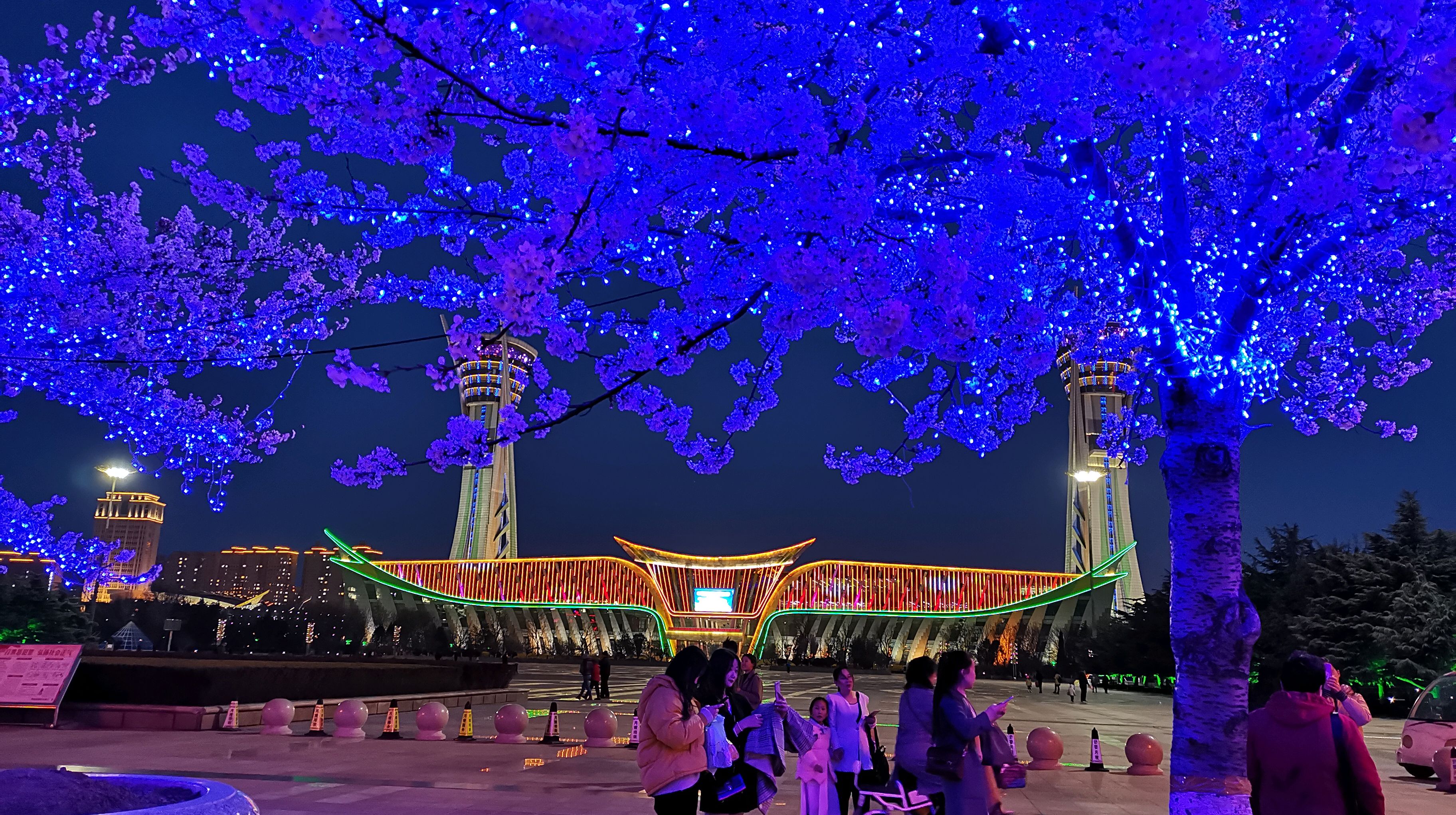 潍坊:人民广场樱花绚烂绽放醉游客