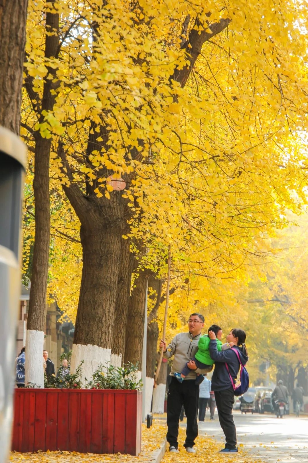 在成都住在白果林最幸福