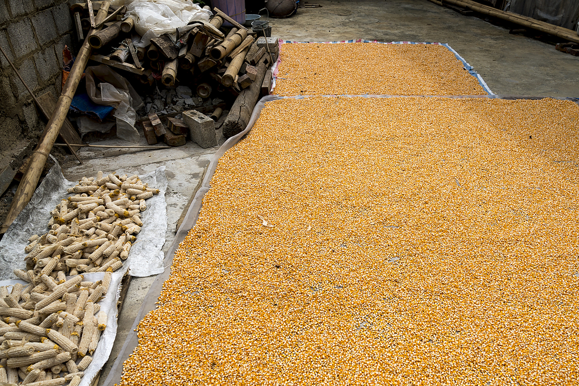 让粮食新鲜又好吃的秘诀来啦!选好地方,密封到位,防虫鼠有一套.