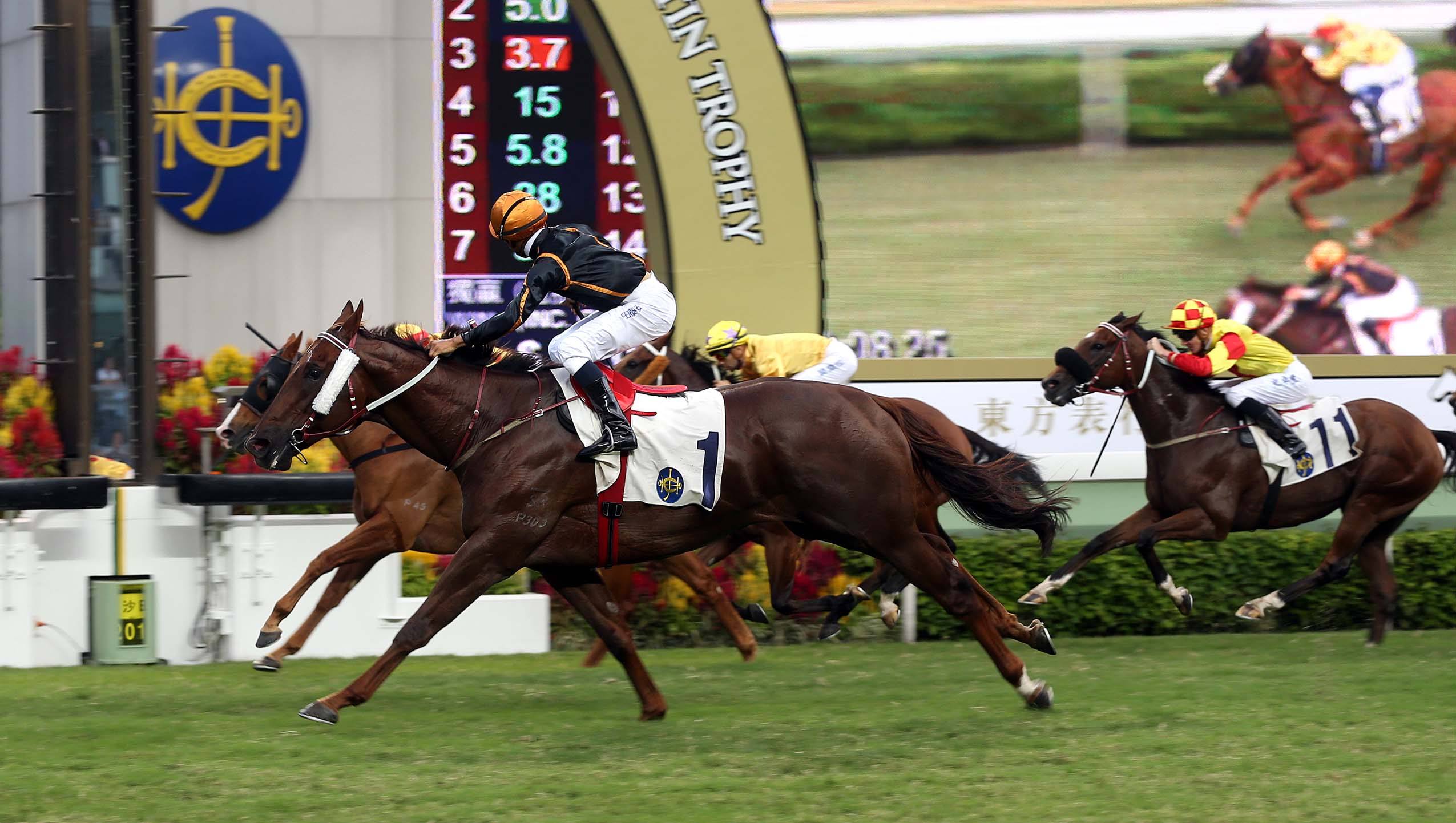 禁止ei——世界上最慢的赛马