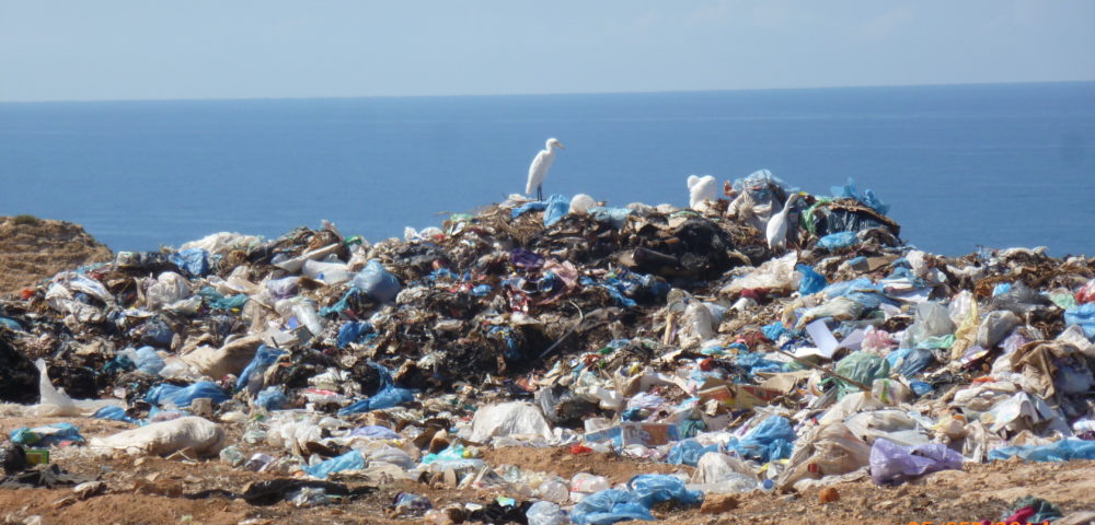 地球现在的塑料垃圾已是全球性的大问题,有许多国家已禁止使用塑料 