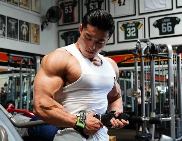 跟着吴龙和小萝卜打造健体式的3d肩膀,吴龙的三角肌训练计划