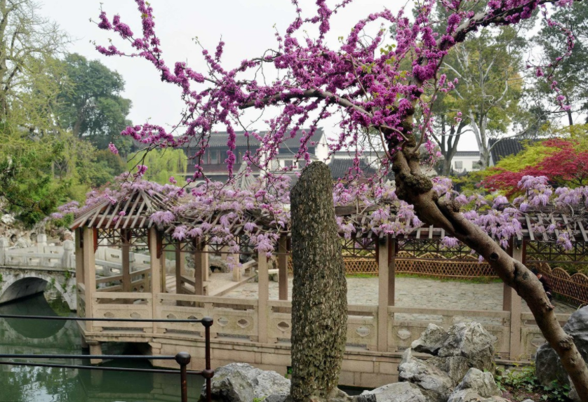 苏州四季风景花园图片