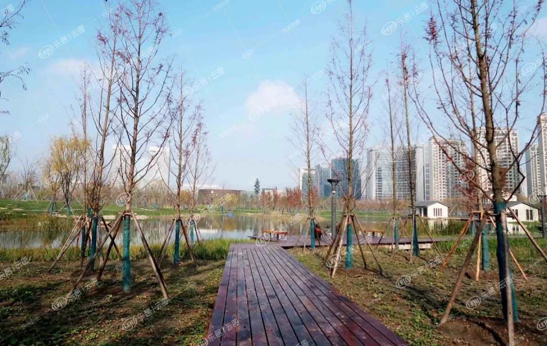 终于等到你!太仓市民公园今日开园