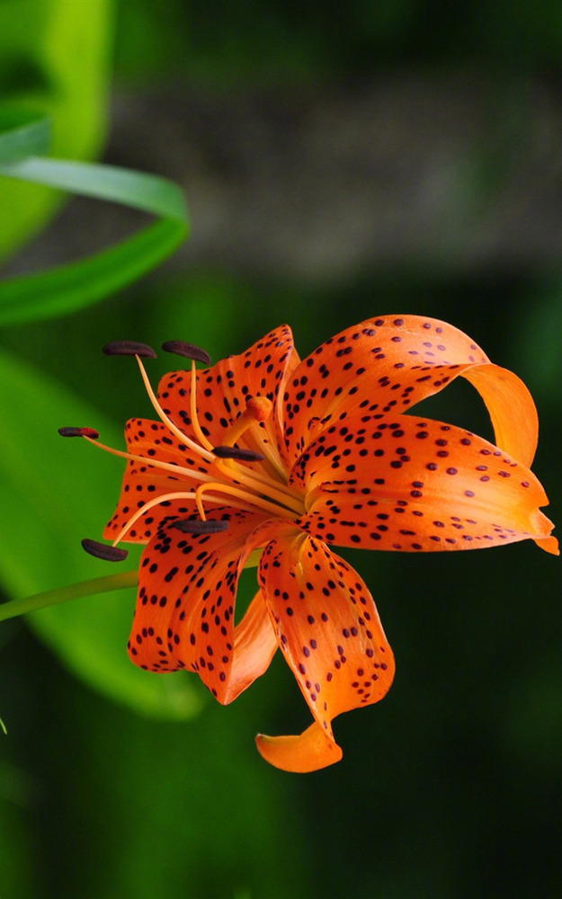很有品位的句子,精致有内涵,忍不住发朋友圈!