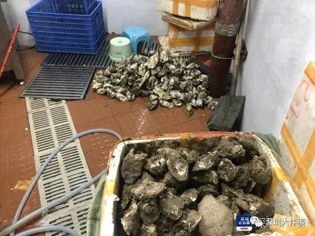 9人相约吃生蚝后上吐下泻!市监部门检测后感到蹊跷