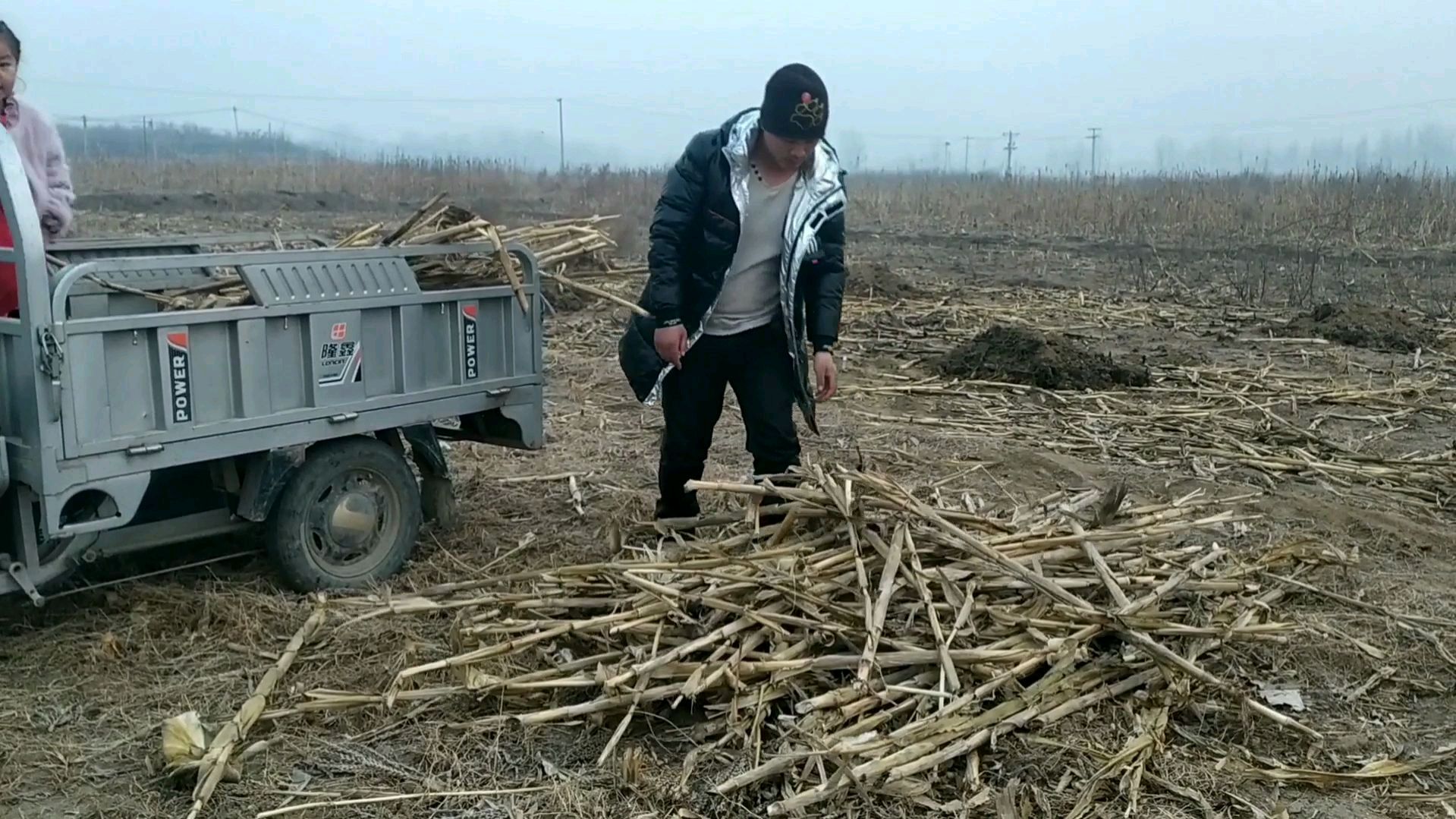 豆渣饼子去地里拉玉米秸秆,回家当柴烧