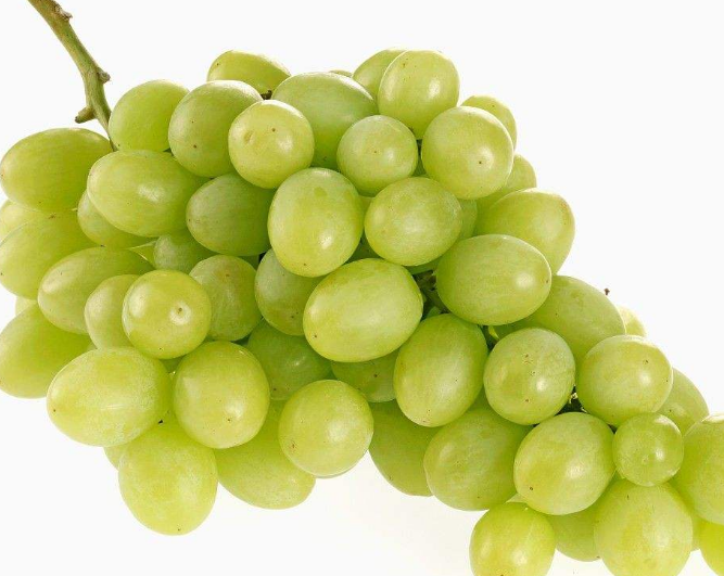 1,绿葡萄——最滋养肺气,代表品种:新疆马奶葡萄,无核白葡萄,未熟透时