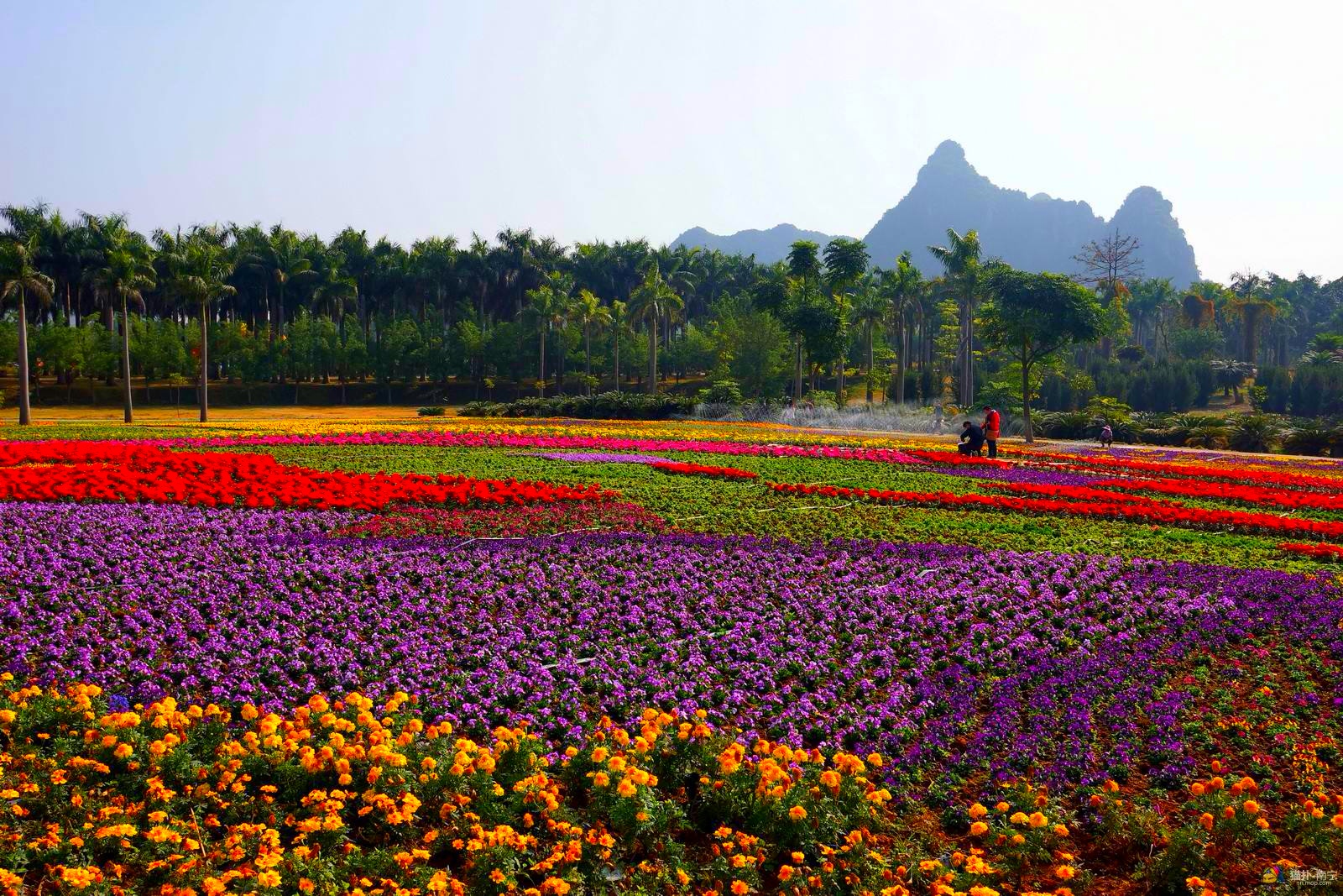 南宁市花花大世界图片