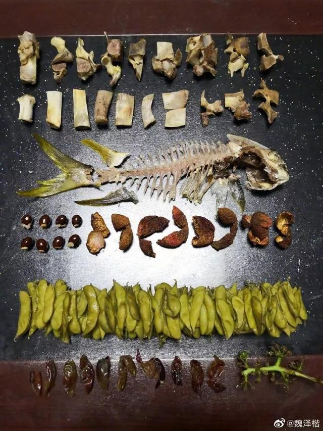 “你是什么垃圾”上海朋友垃圾分类真的太拼了！外地游客瑟瑟发抖
